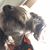 Susan Wilson's profile image