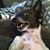 Stacy Grunberg's profile image
