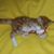 Connie Knudson's profile image