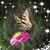 Connie Younger's profile image