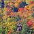 Glenn Sousa's profile image