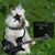 Rebecca Seemuth's profile image
