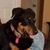 Lori Seamon's profile image