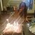 Sarah Ashley Cains's profile image