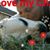 Stacy Lee Wagler-Duarte's profile image