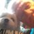 Larry Eidell's profile image