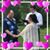 Michelle Vig's profile image