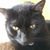 Linda Hill Guzman's profile image
