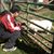 Ngar Dik Ip's profile image