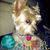 Linda Pete Meetze's profile image