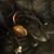 Amy Chervek Rhoads's profile image