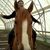 Donna McKinney's profile image
