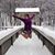 Amy Lindgren Penokie's profile image