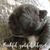 Patti Gibson's profile image