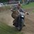 Robert Harry Wark's profile image