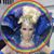 Kasey Crowe's profile image