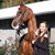 Isabella Leslie's profile image