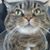Barbi LaFave's profile image