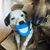 Pamela Rossmann-Bray's profile image