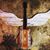 Tracy Hubbell-Linden's profile image