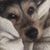 Tamara Burnett Penny's profile image