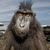 Chris Tate's profile image