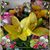 Cheryl Craig's profile image