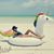 Brandy Seekatz Webb's profile image