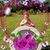 Allison Christy's profile image