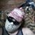 Joseph Cuellar's profile image