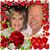 Teri Collette's profile image