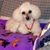 Linda Turman's profile image