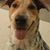 Gary Pekar's profile image