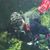 Benny Shelton's profile image