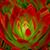 Carolyn Stone's profile image