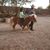 Cindy Guel Garza's profile image
