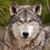 Barb Mc's profile image