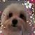 Janifier Kersey Gibbs's profile image