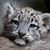 John Ickes's profile image