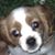 Kristal Brown Roberts's profile image