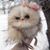 Emily Holbrook's profile image