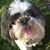 Mike Deam's profile image