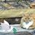 Karen Gale's profile image
