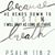 Donna M. Sears's profile image
