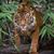 Kathy McElroy Weber's profile image