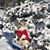 Linda Gallman's profile image