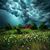 Krynn Parham's profile image