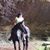Nancy Middaugh Wentz's profile image