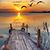 Marilyn Wise Webb's profile image