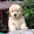 Ann Norton's profile image